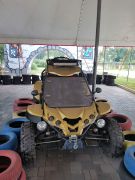 Renli buggy, Renli buggy,